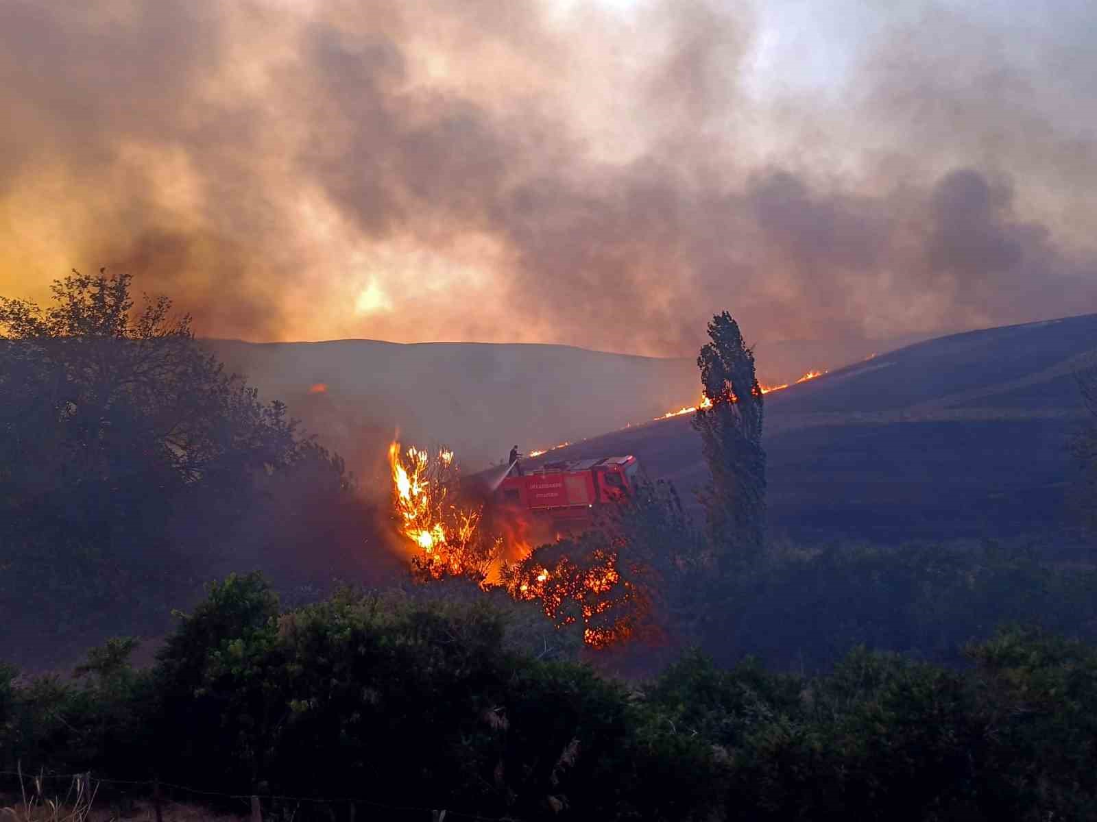 Diyarbakır’daki anız ve orman yangınları söndürüldü