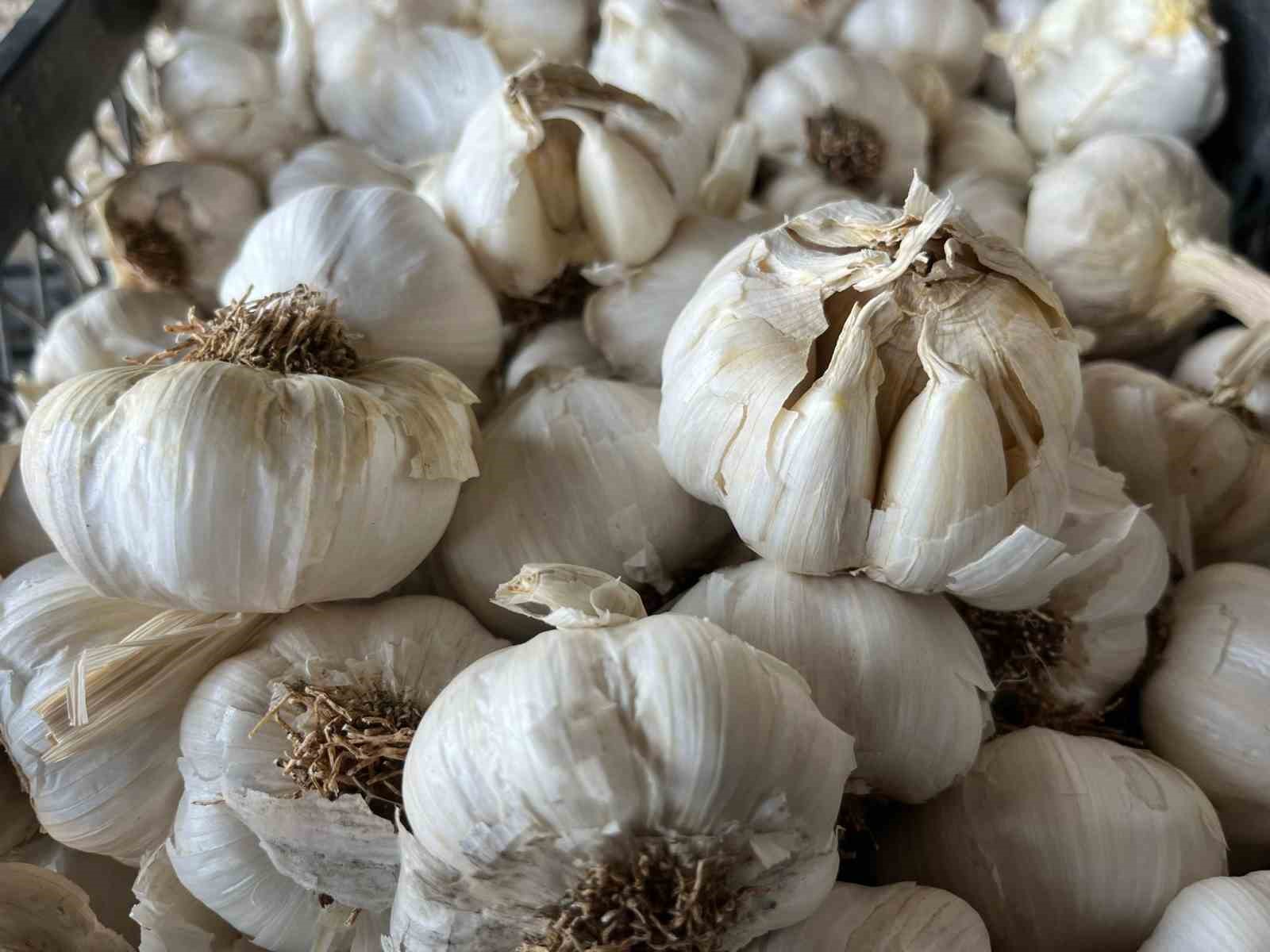 Minibüsüyle üç il gezip, ailesine bakıyor
