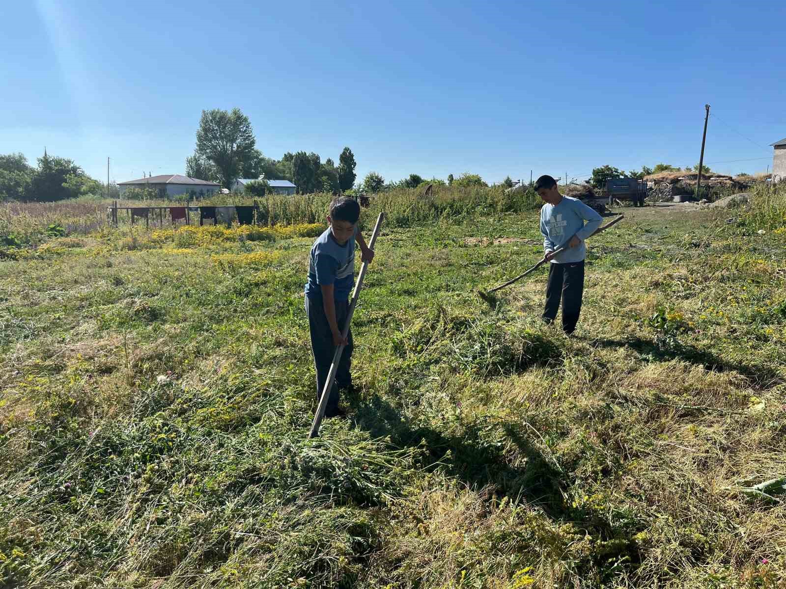 Akyaka’da ot biçimi başladı