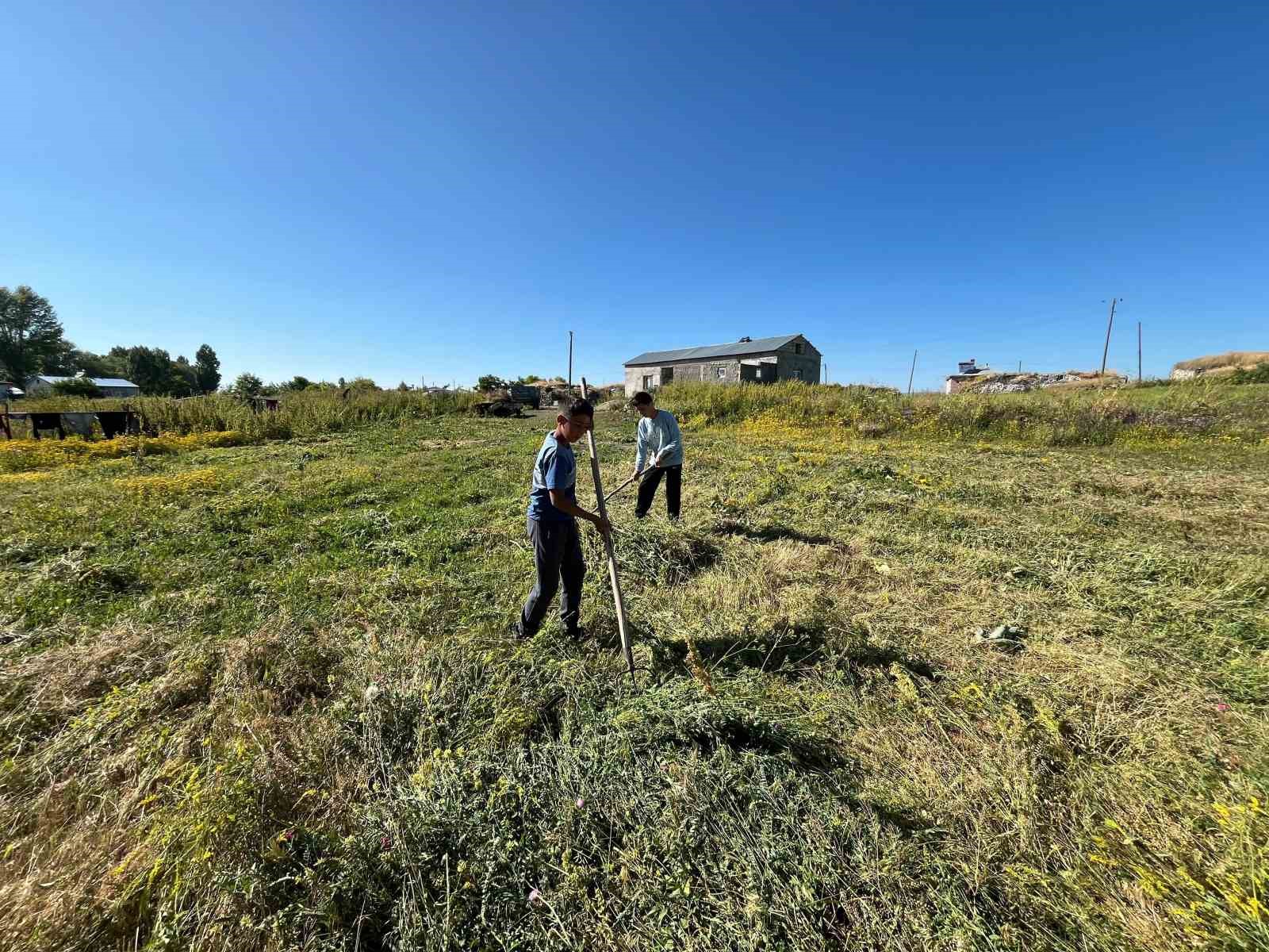 Akyaka&rsquo;da ot bi&ccedil;imi başladı
