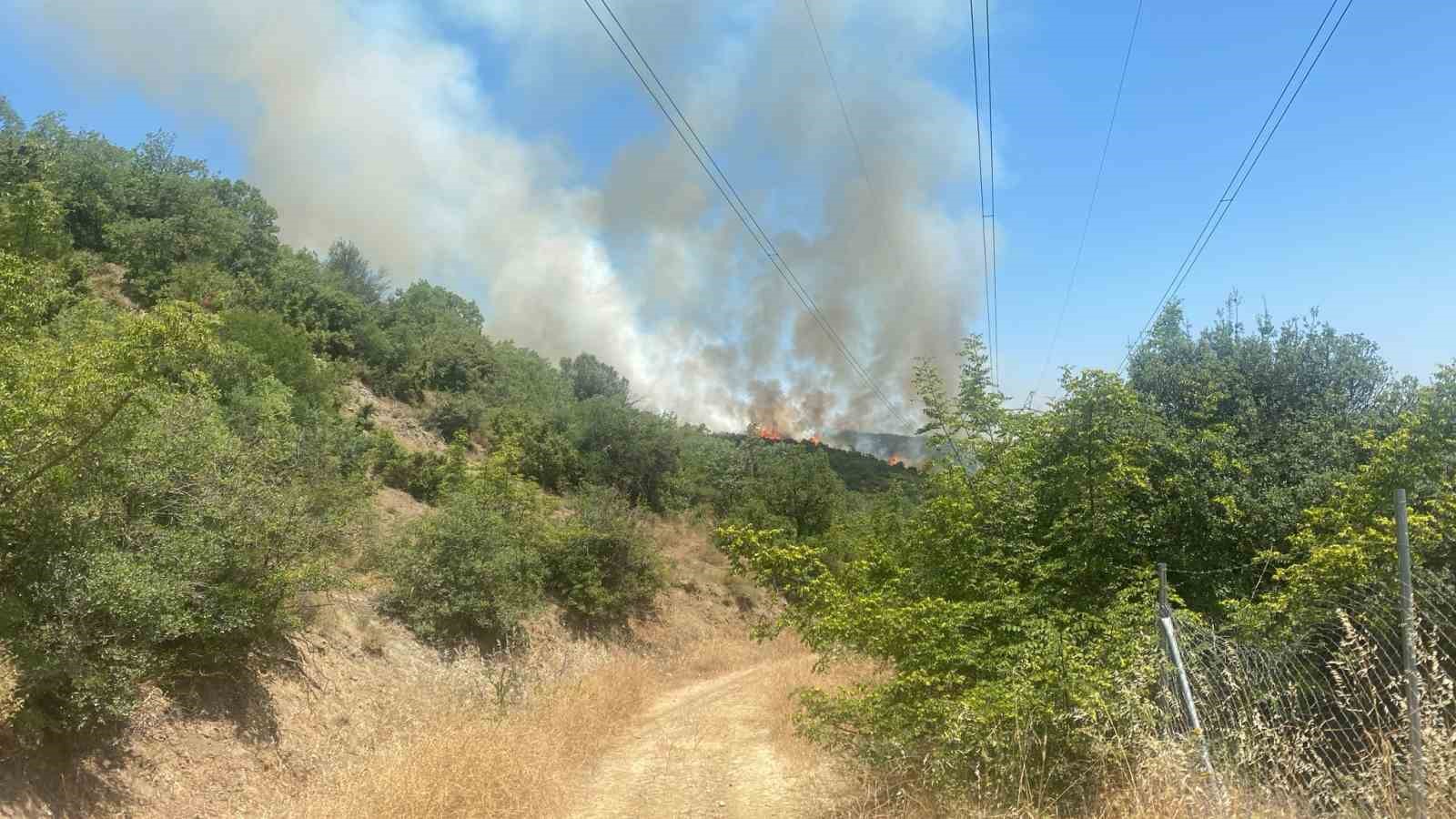Kestel’de yanan ormanın yanında yeniden yangın başladı