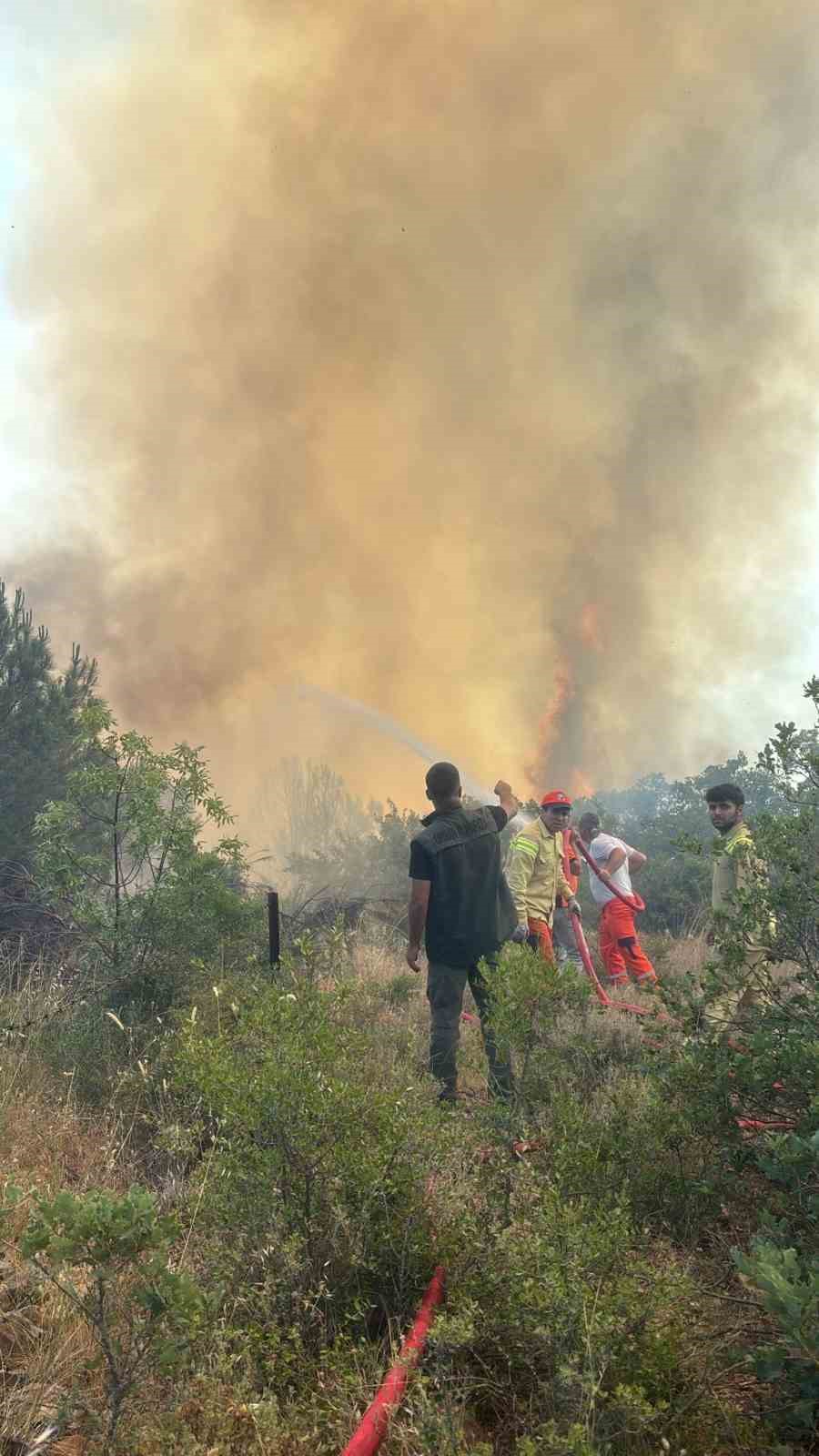 Kestel’de yanan ormanın yanında yeniden yangın başladı