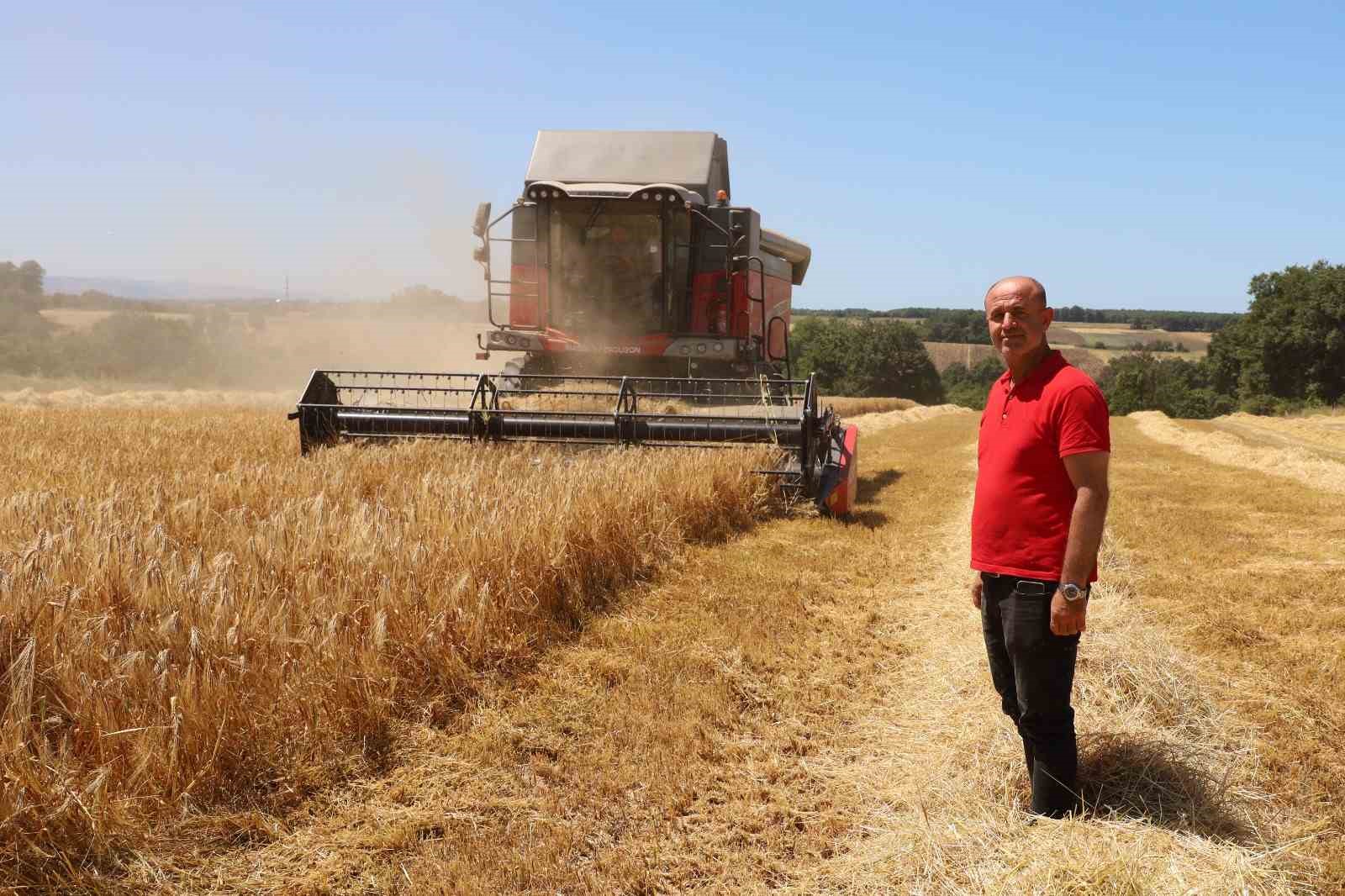 Bafra Ovası’nda hasat başladı: "Buğdaydan önce umutları biçiyoruz"