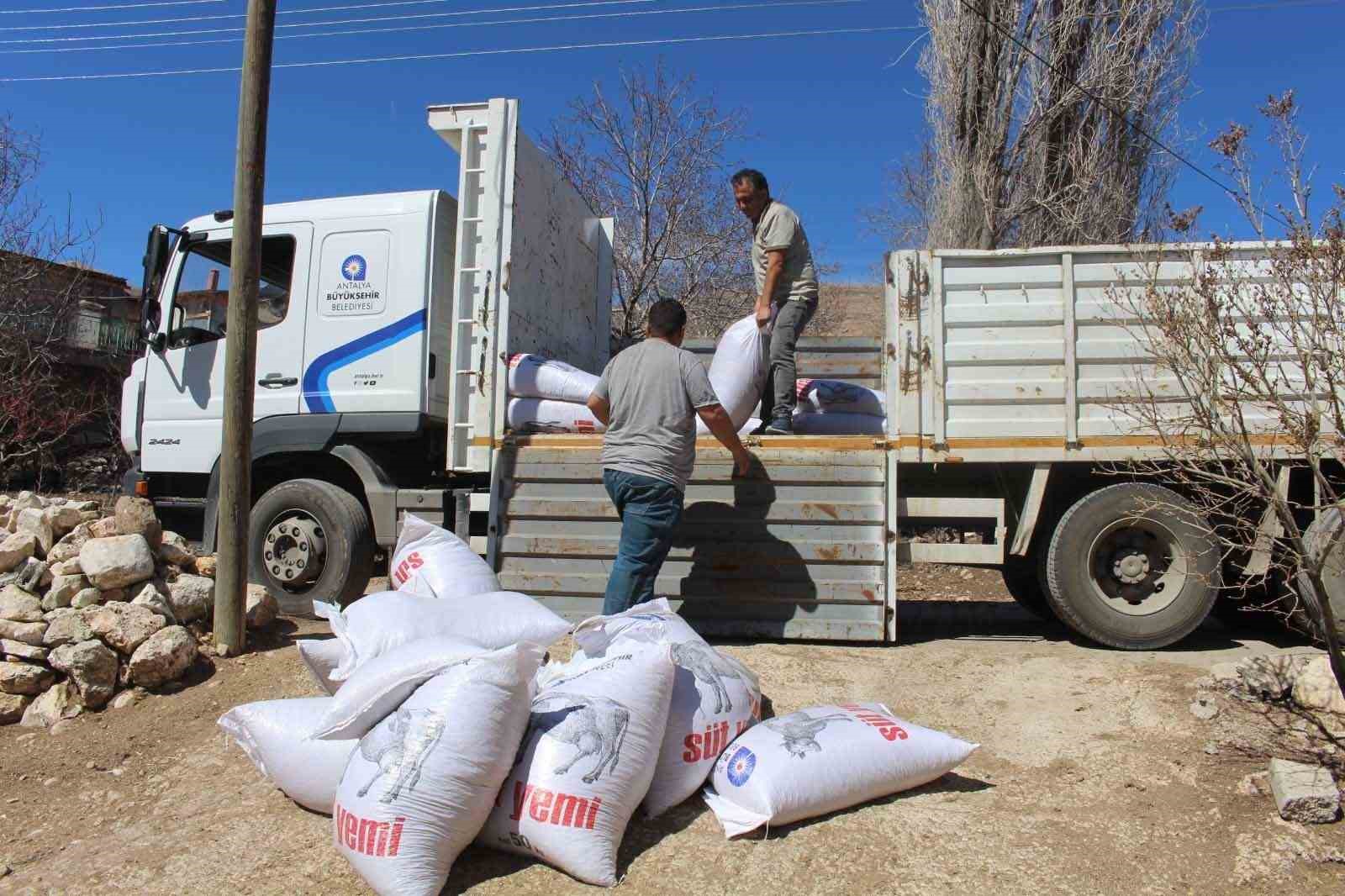 Büyükşehir’den yem desteğiyle süt üretimine güçlü katkı