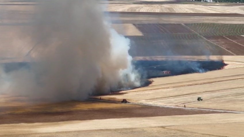 Elazığ’da arazi yangını, ekili alanlarda küle döndü
