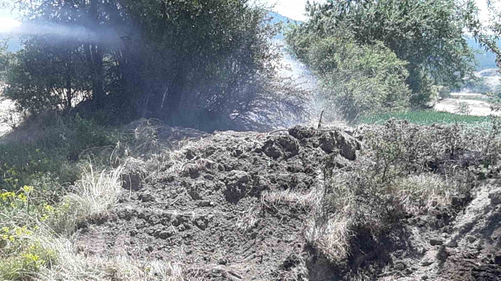 Kuru otlar alev aldı, köylüler toprakla söndürdü
