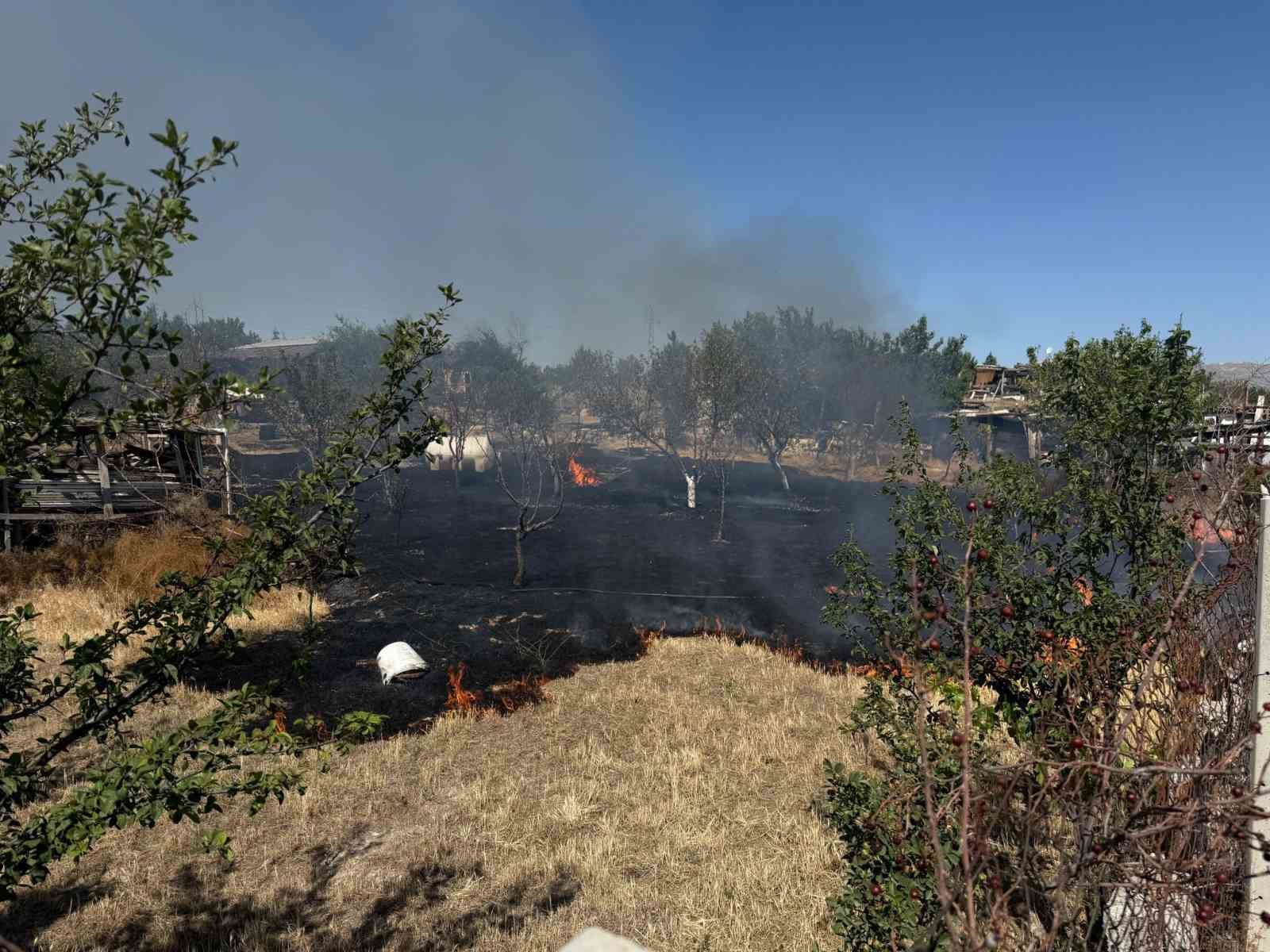 Ankara’da ot yangını korkuttu