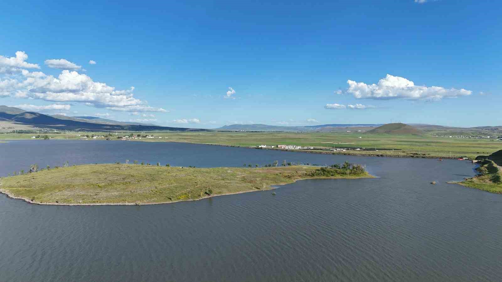 Patnos Barajı&rsquo;nda balık &ccedil;eşitliliği azalıyor
