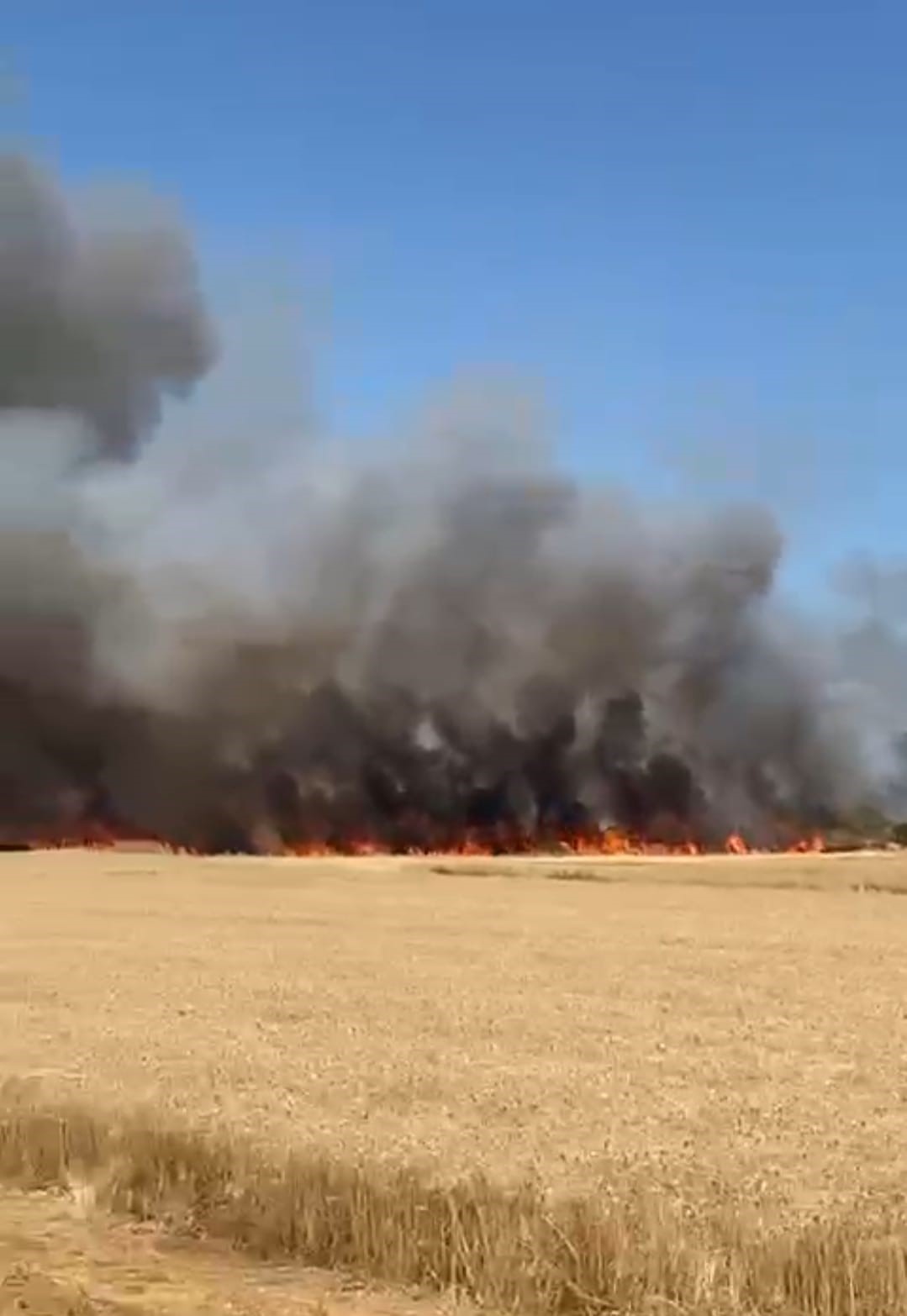 Biga’da tarım arazisinde yangın çıktı