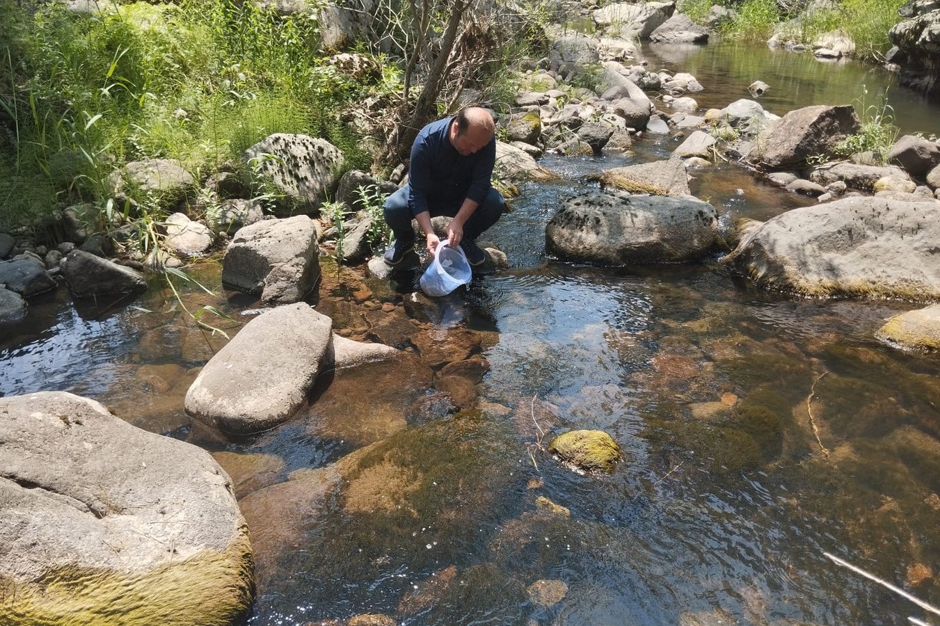 Bolu&rsquo;da 12 bin kırmızı benekli alabalık yavrusu orman i&ccedil;i derelere bırakıldı
