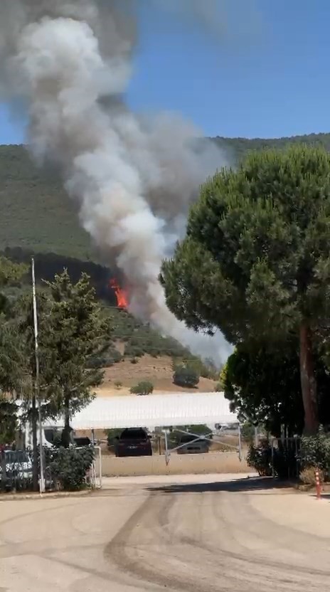 Yenişehir&rsquo;deki yangının g&uuml;c&uuml; azaldı
