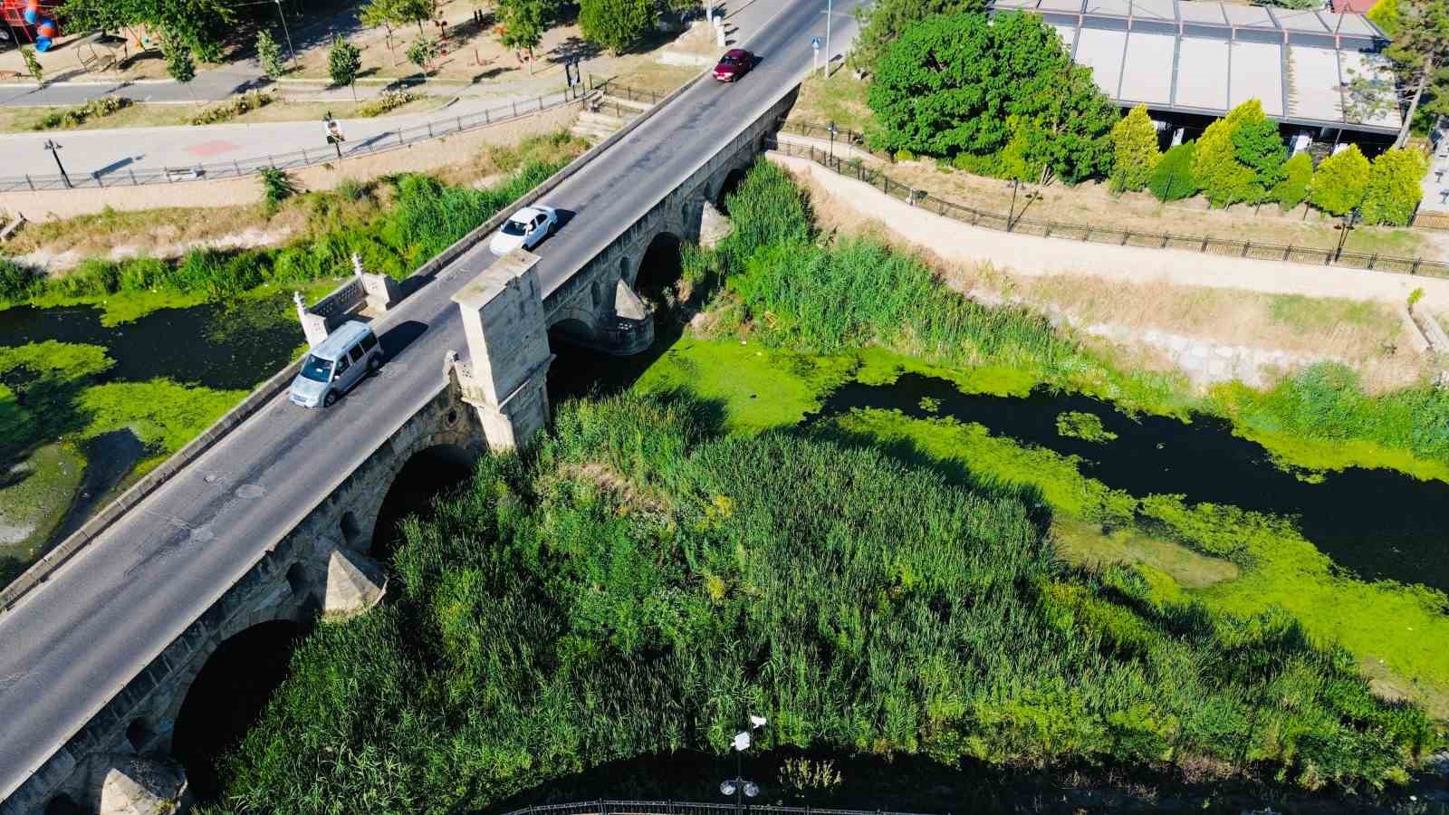 Şeytan Deresi yosun tuttu