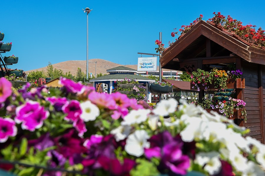 375 bin &ccedil;i&ccedil;ek g&ouml;rsel ş&ouml;len sunuyor
