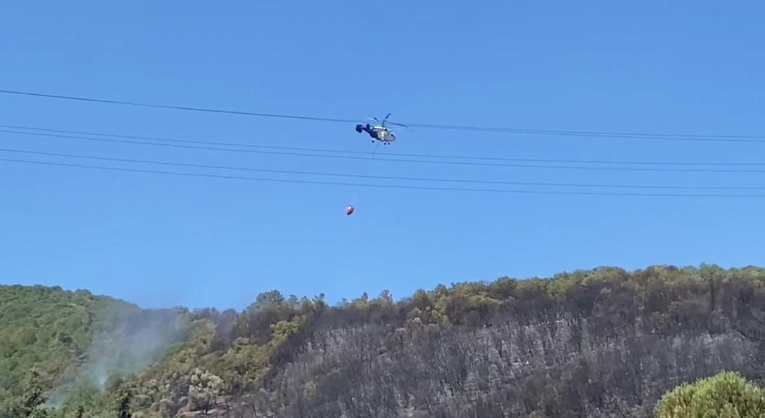 Kocaeli’de ağaçlık alanda çıkan yangın kontrol altına alındı
