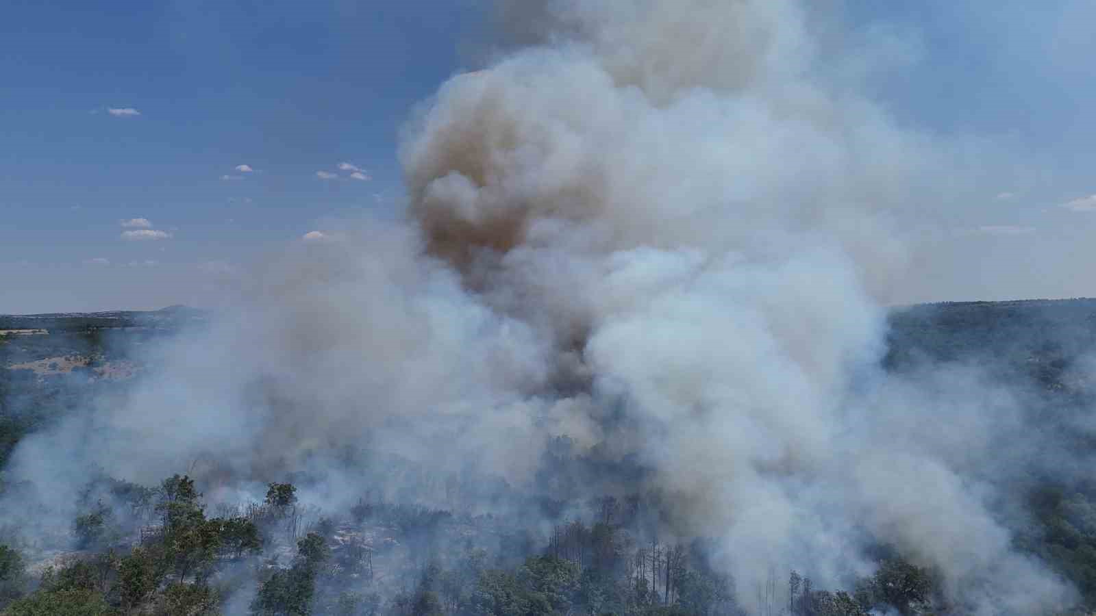 Edirne&rsquo;de orman yangını

