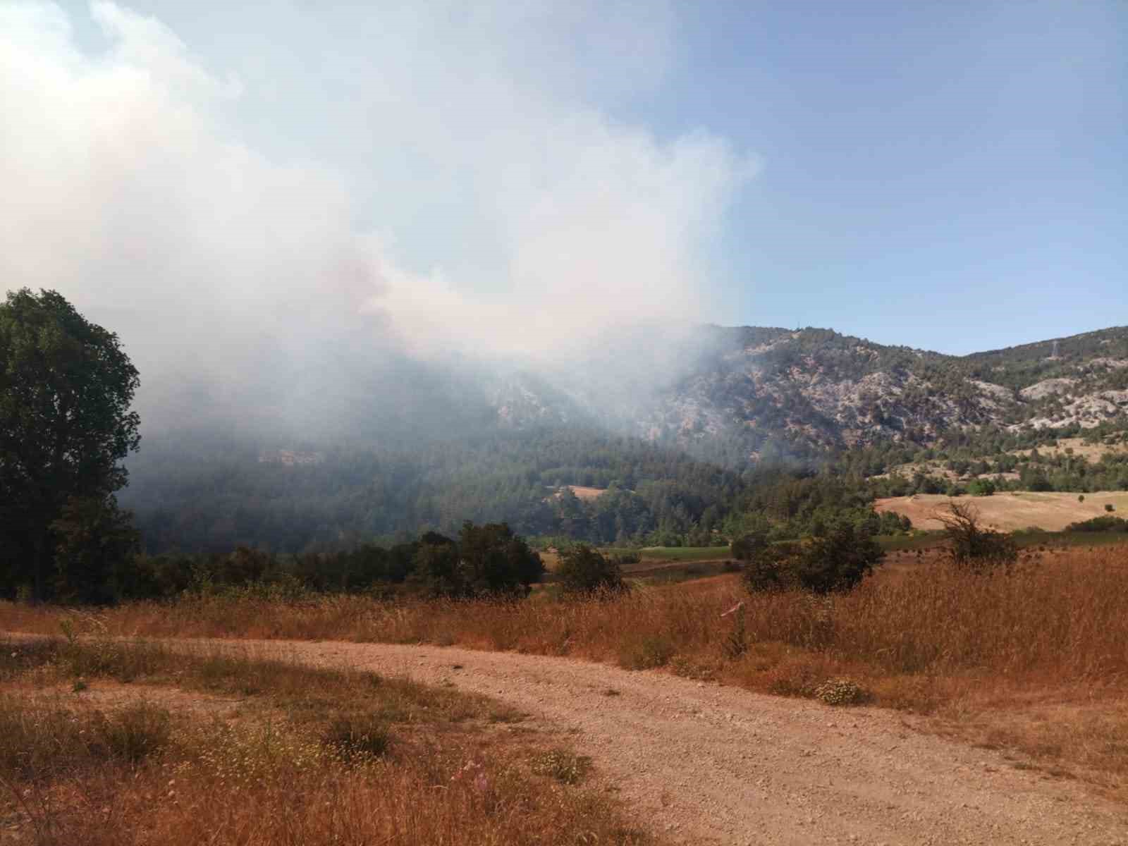 Bilecik’te başlayan orman yangını hızla büyüyor