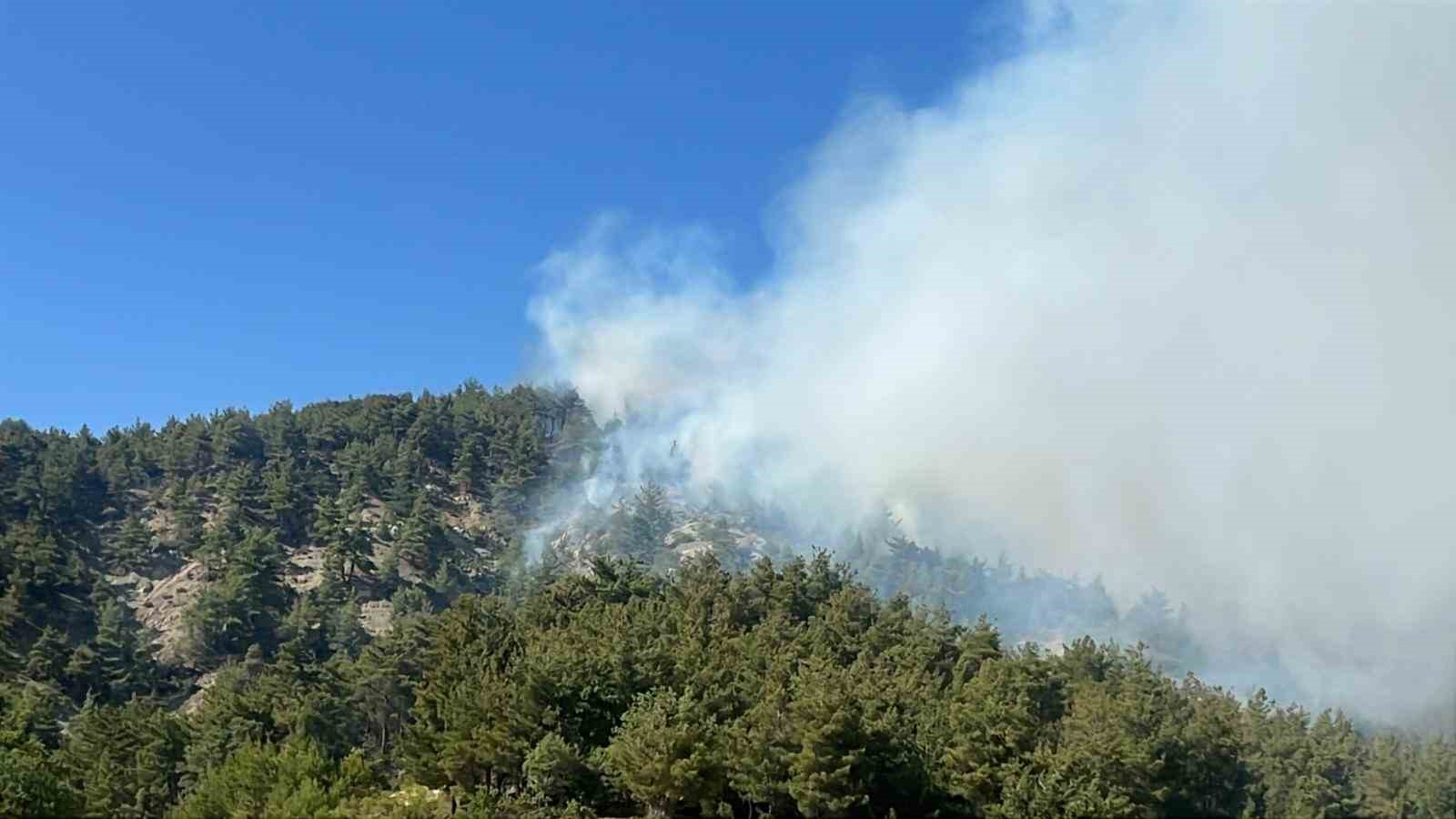 Bilecik&rsquo;te başlayan orman yangını hızla b&uuml;y&uuml;yor
