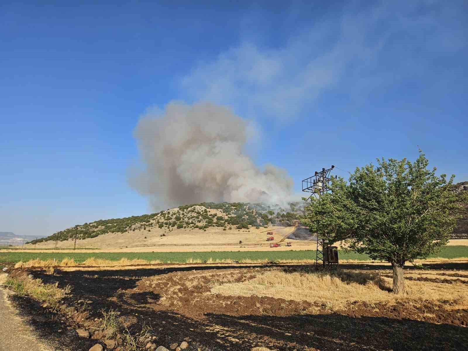 Gaziantep’te anız yakarken suçüstü yakalanan şahsa 47 bin TL ceza