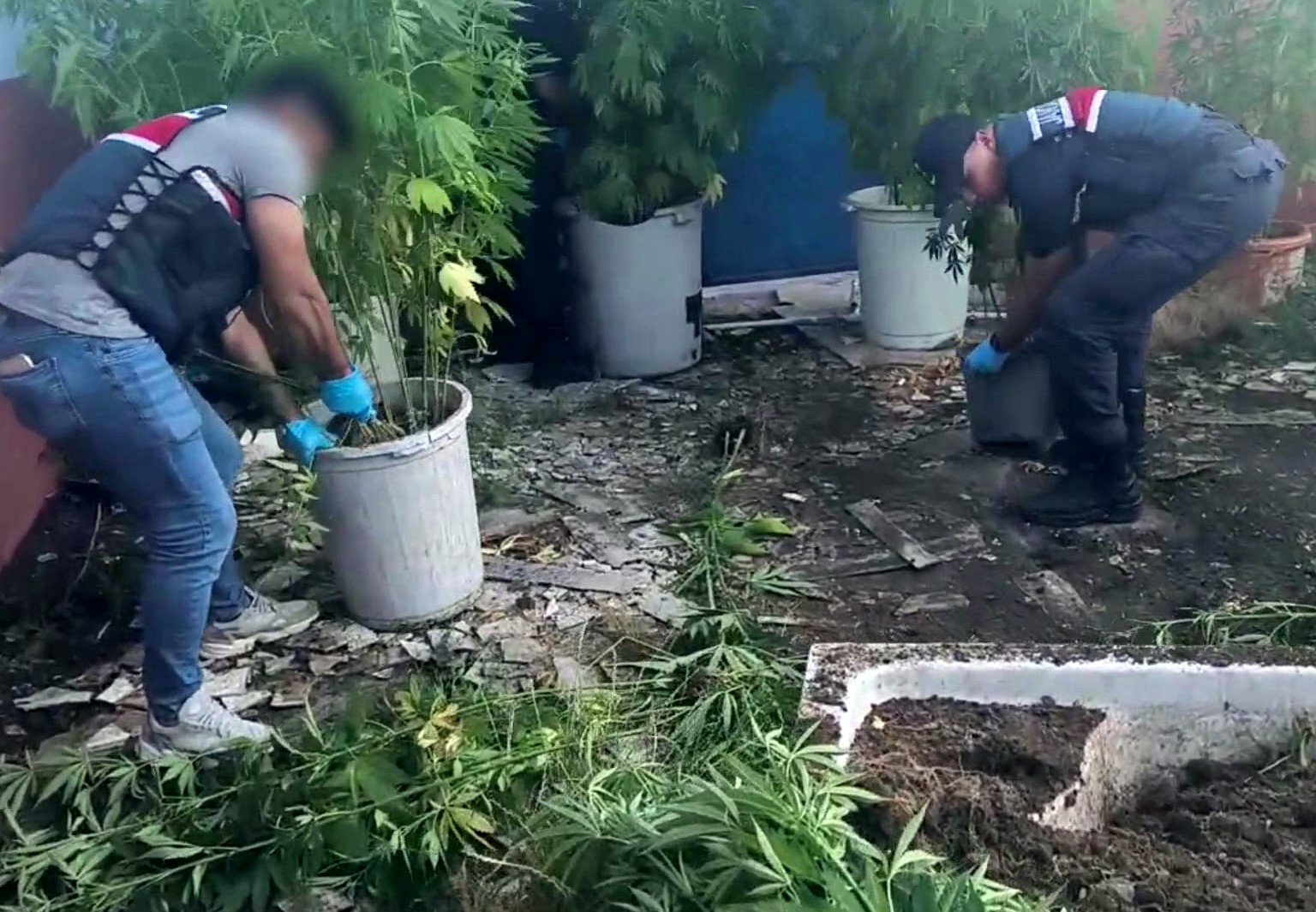 Sakarya’da uyuşturucu operasyonu: 1 tutuklama