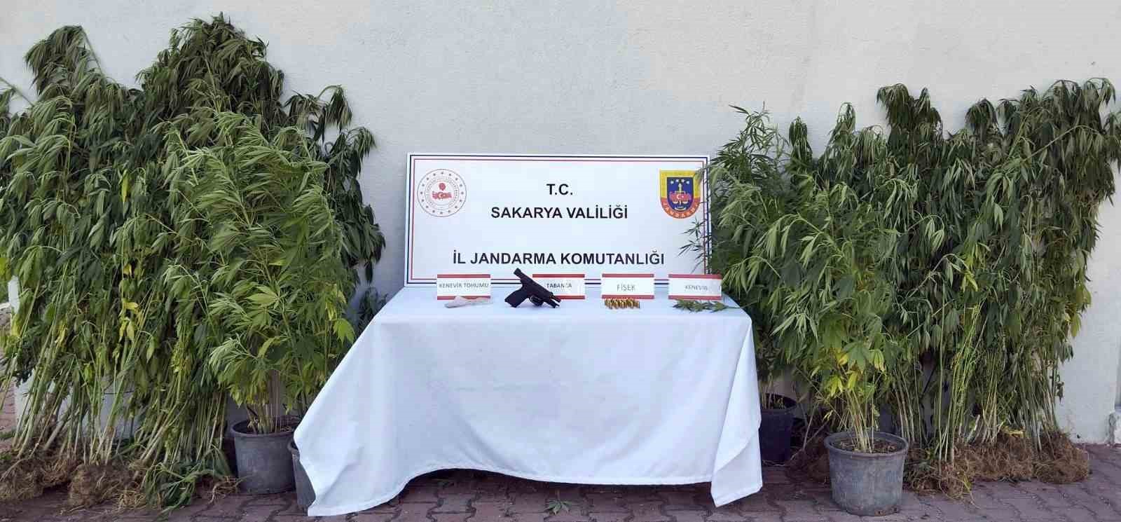 Sakarya&rsquo;da uyuşturucu operasyonu: 1 tutuklama
