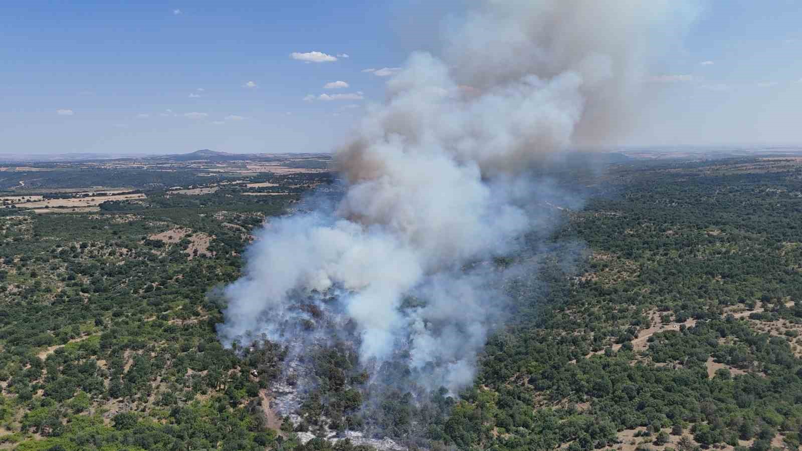 Edirne’deki orman yangını kontrol altına alındı