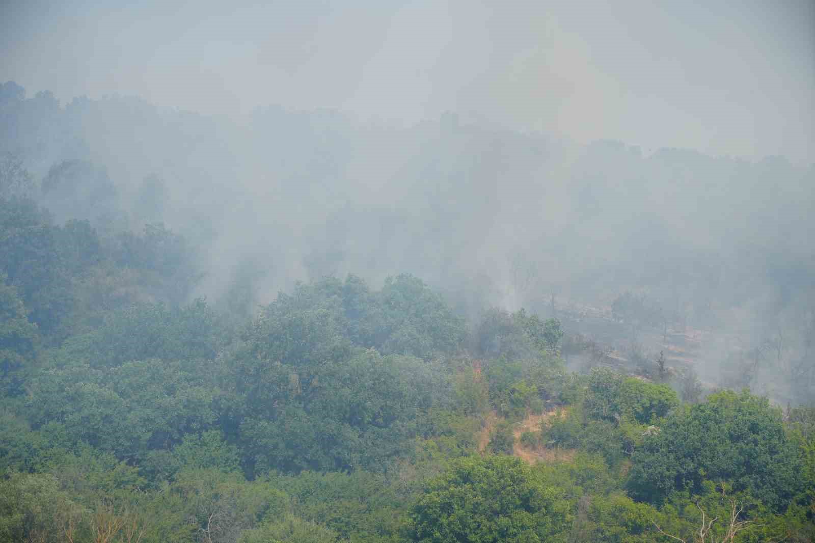 Edirne&rsquo;deki orman yangını kontrol altına alındı
