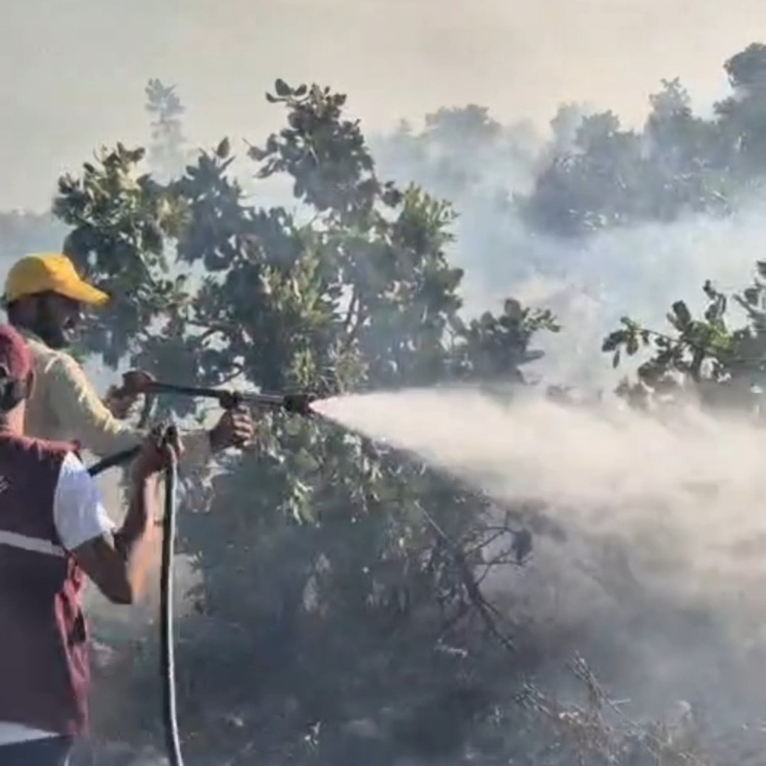 Siirt’te çıkan örtü yangını söndürüldü