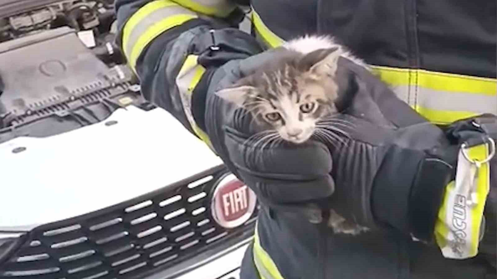 Kırıkkale’de kedi kurtarma operasyonu