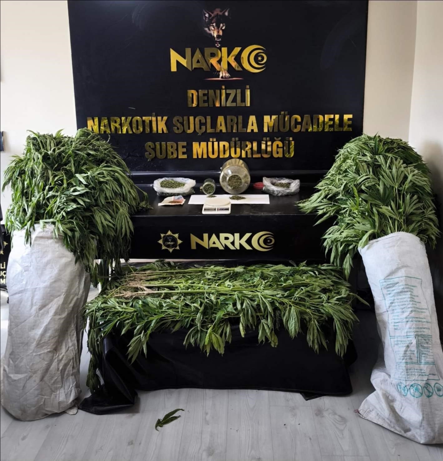 Evinin bahçesinde 290 kök kenevir yetiştiren tacir tutuklandı