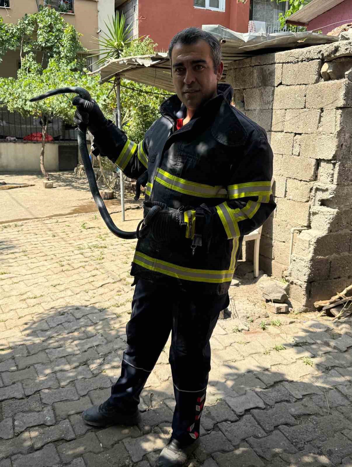 Payas’ta eve giren yılanı itfaiye yakaladı