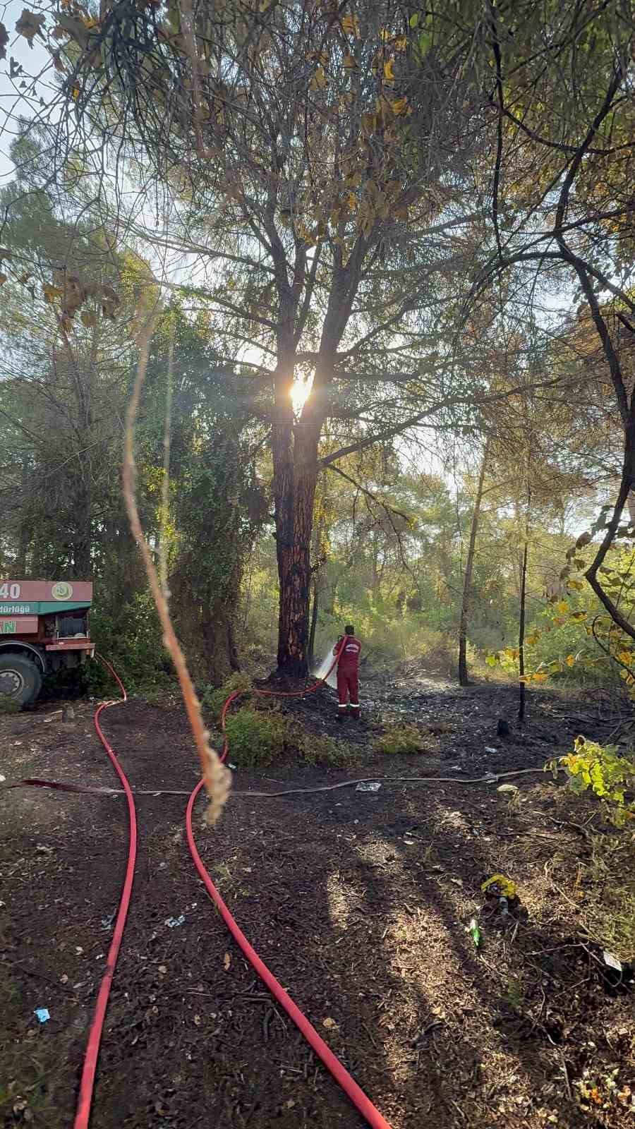 Serik’te sabah saatlerinde çıkan orman yangını söndürüldü