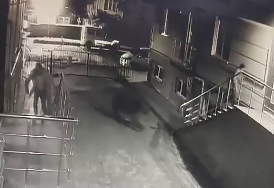 Sarıkamış’ta ayı vatandaşlardan, vatandaşlar ayıdan kaçtı