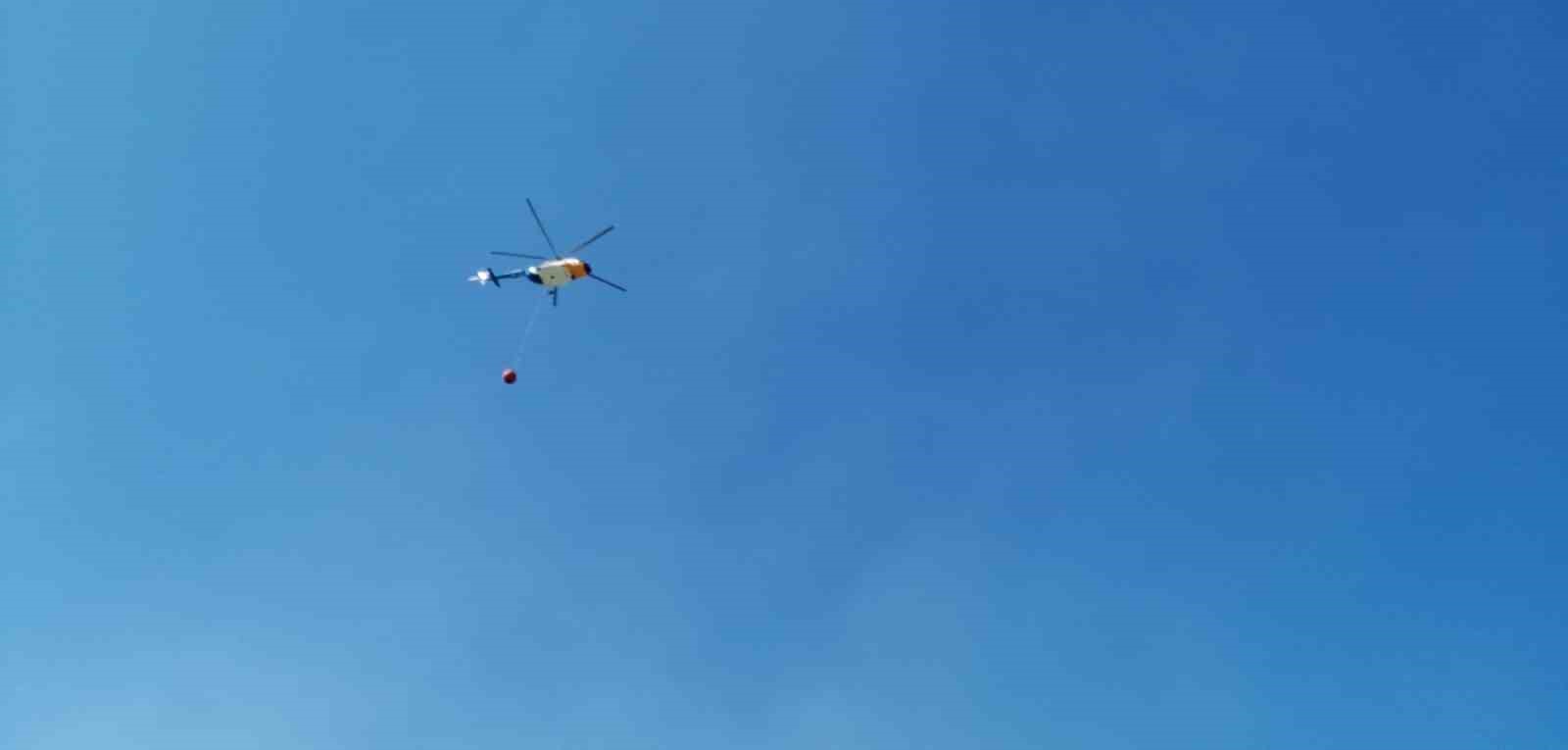 Kahramanmaraş’ta orman yangını