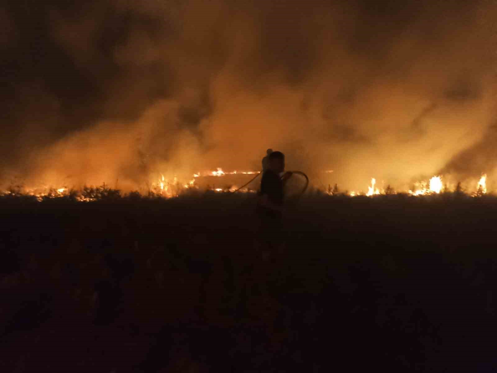 Ak&ccedil;adağ&rsquo;da bah&ccedil;e ve sazlık yangını: 25 Kayısı ağacı zarar g&ouml;rd&uuml;
