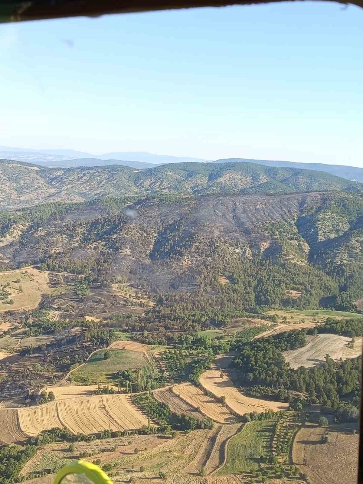 Bilecik’te dün çıkan orman yangını kontrol altına alındı