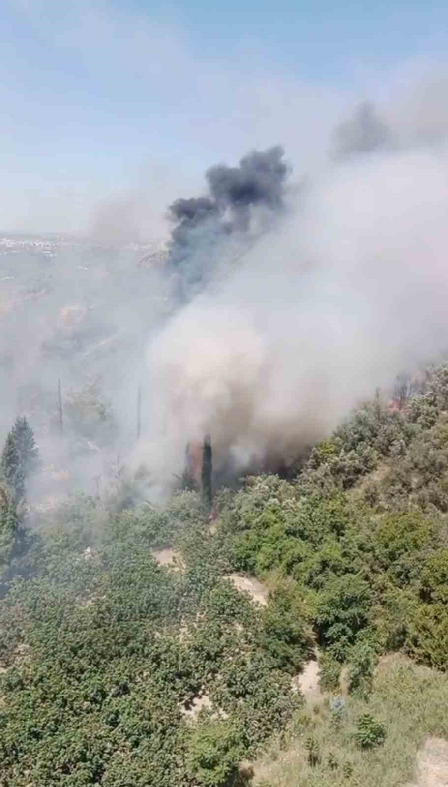 Bursa’da çam ormanı yanıyor