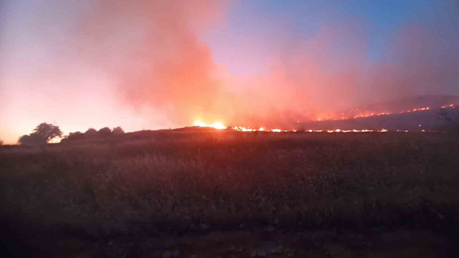Mardin’de dağlık alanda çıkan yangın söndürüldü