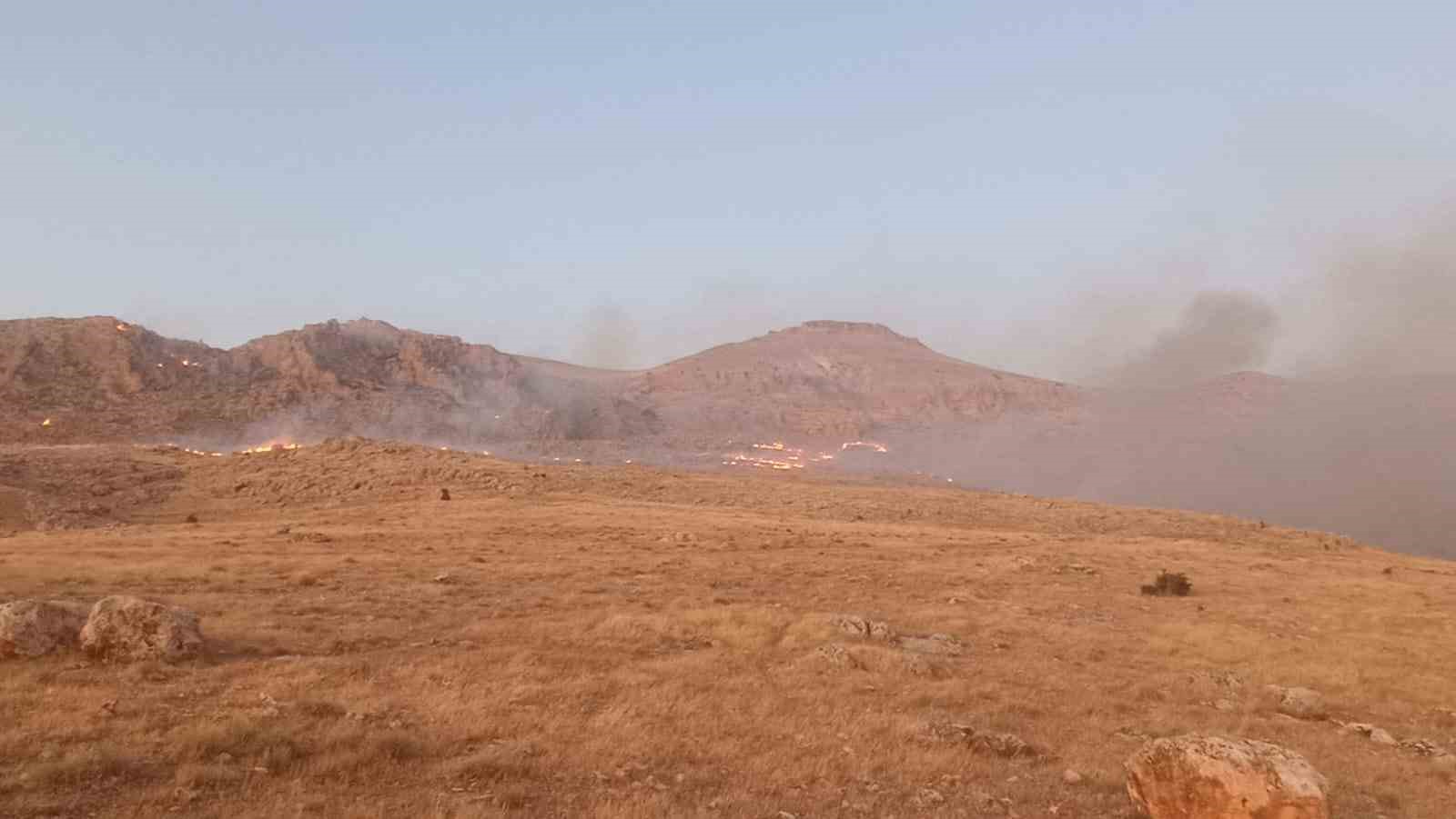 Mardin’de dağlık alanda çıkan yangın söndürüldü

