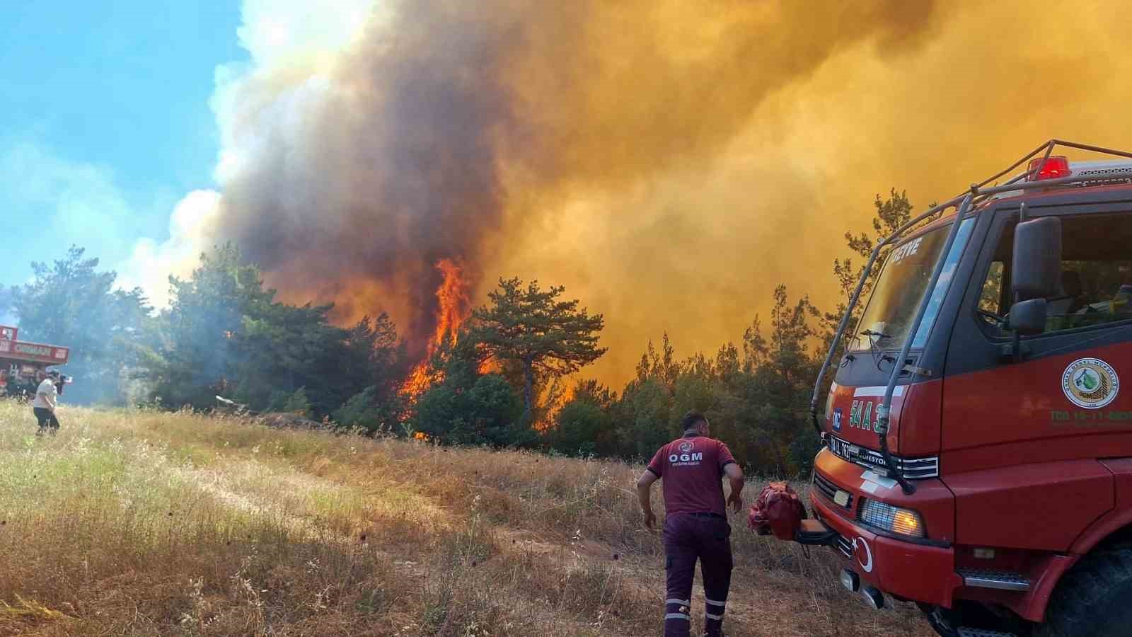 Taraklı’da çıkan orman yangını helikopterden görüntülendi