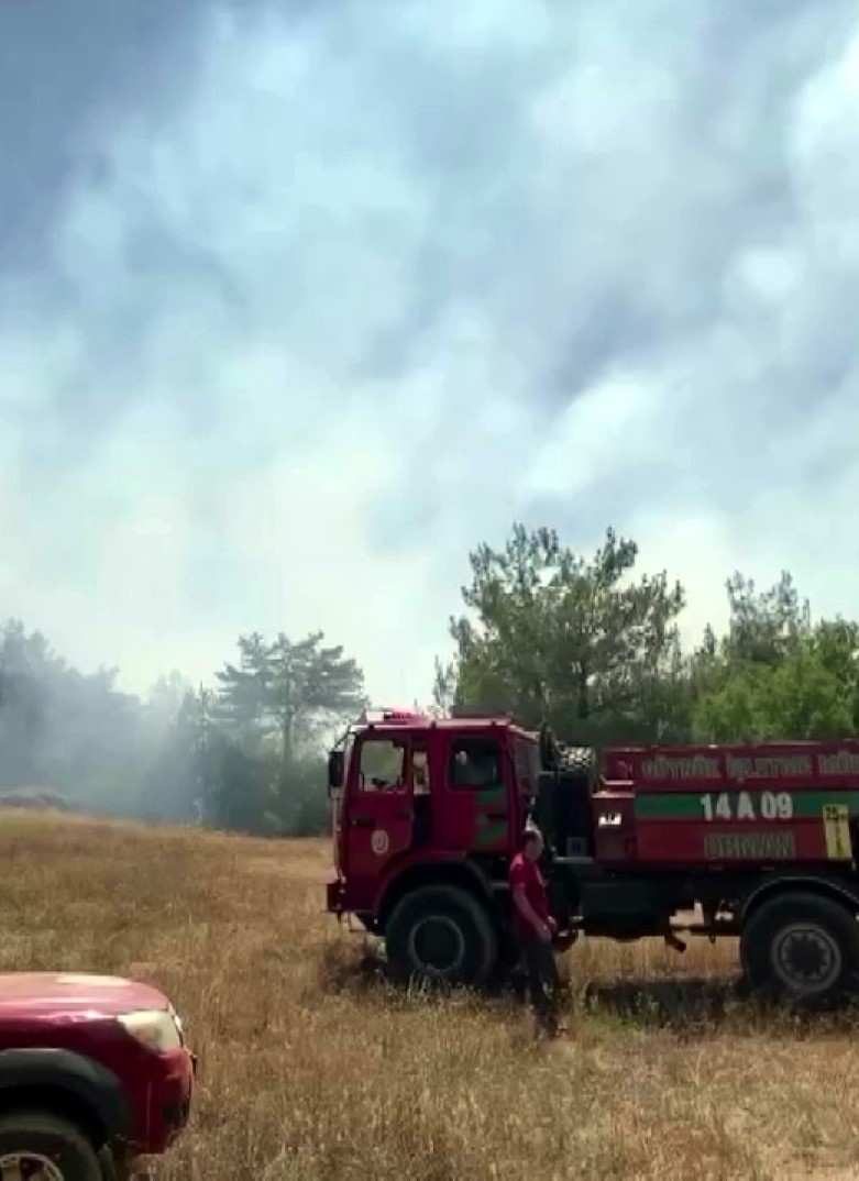 Taraklı&rsquo;da &ccedil;ıkan orman yangını helikopterden g&ouml;r&uuml;nt&uuml;lendi
