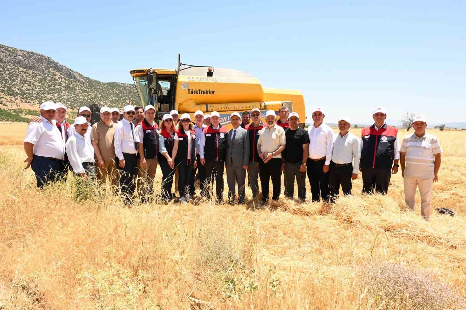 Denizli’nin hububat deposu Acıpayam’da arpa hasadı başladı
