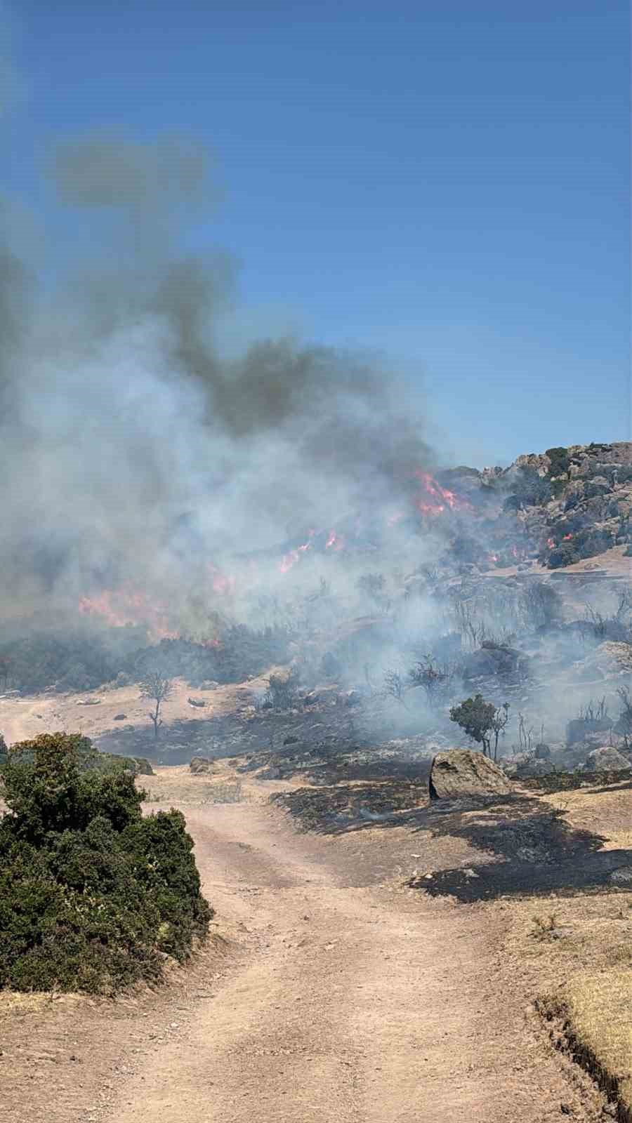 Ayvacık’ta makilik alanda çıkan yangın kontrol altına alındı