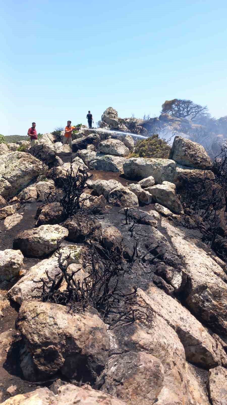 Ayvacık&rsquo;ta makilik alanda &ccedil;ıkan yangın kontrol altına alındı
