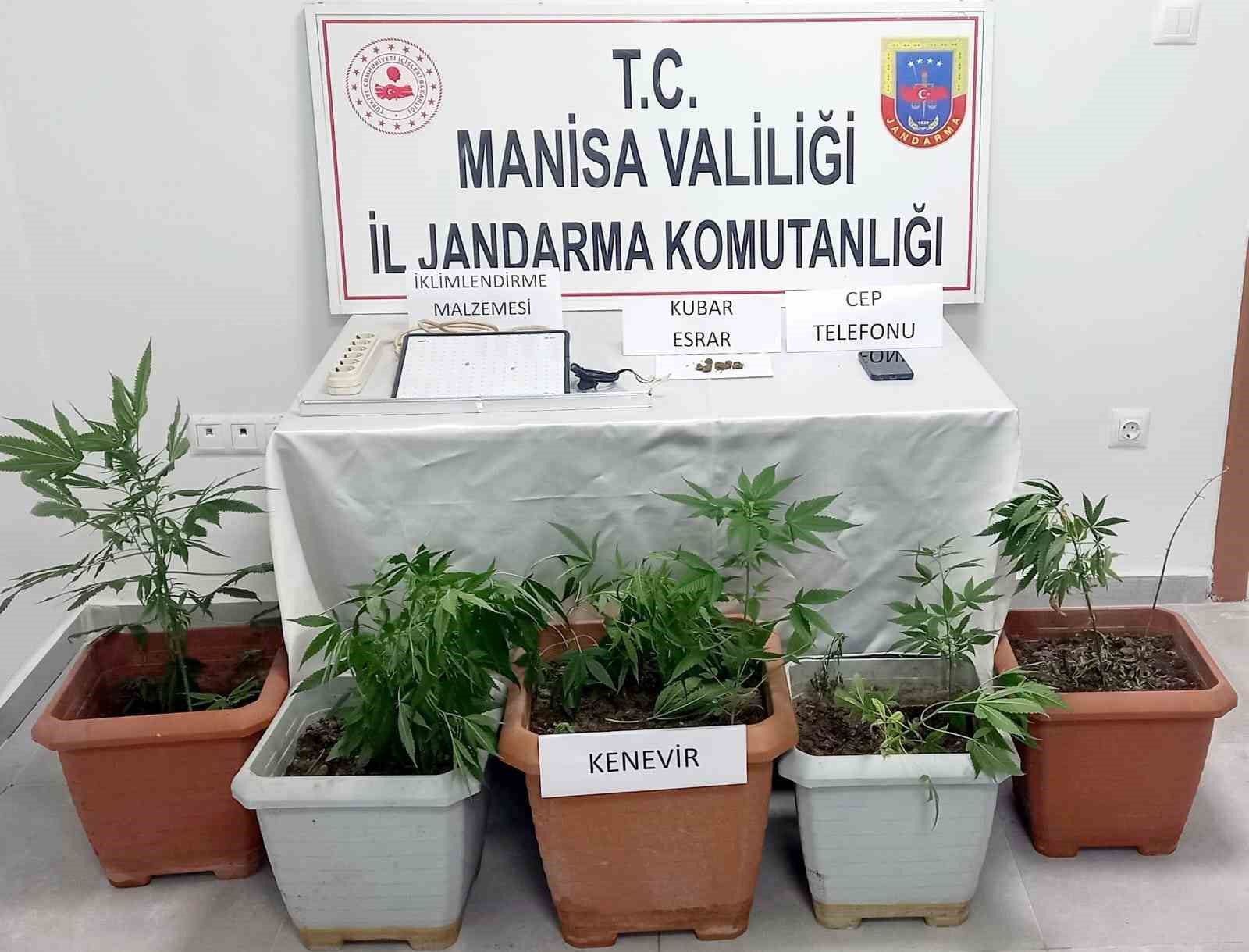 Ev i&ccedil;erisinde kurulu d&uuml;zende kenevir yetiştiren şahıs yakalandı
