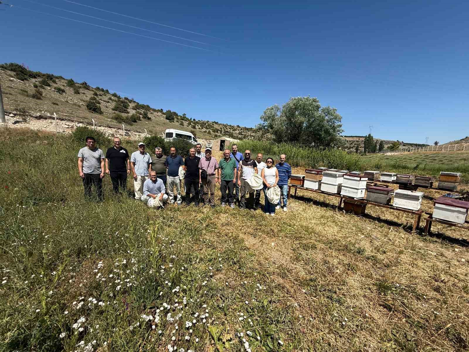 Arıcılık eğitimlerinde uygulama aşamasına ge&ccedil;ildi
