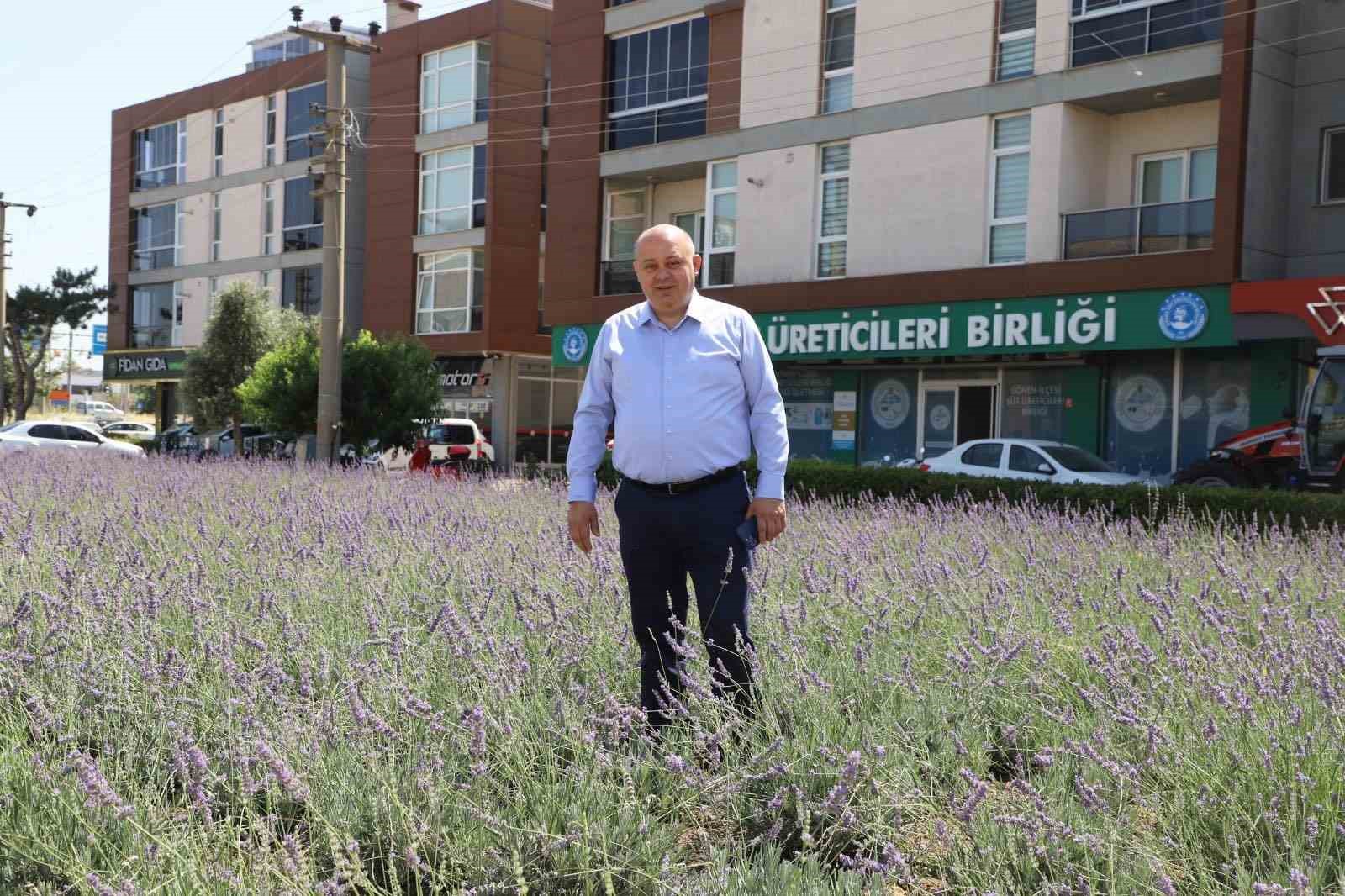 Gönen’de biyogaz tesisine "ÇED olumlu" kararı