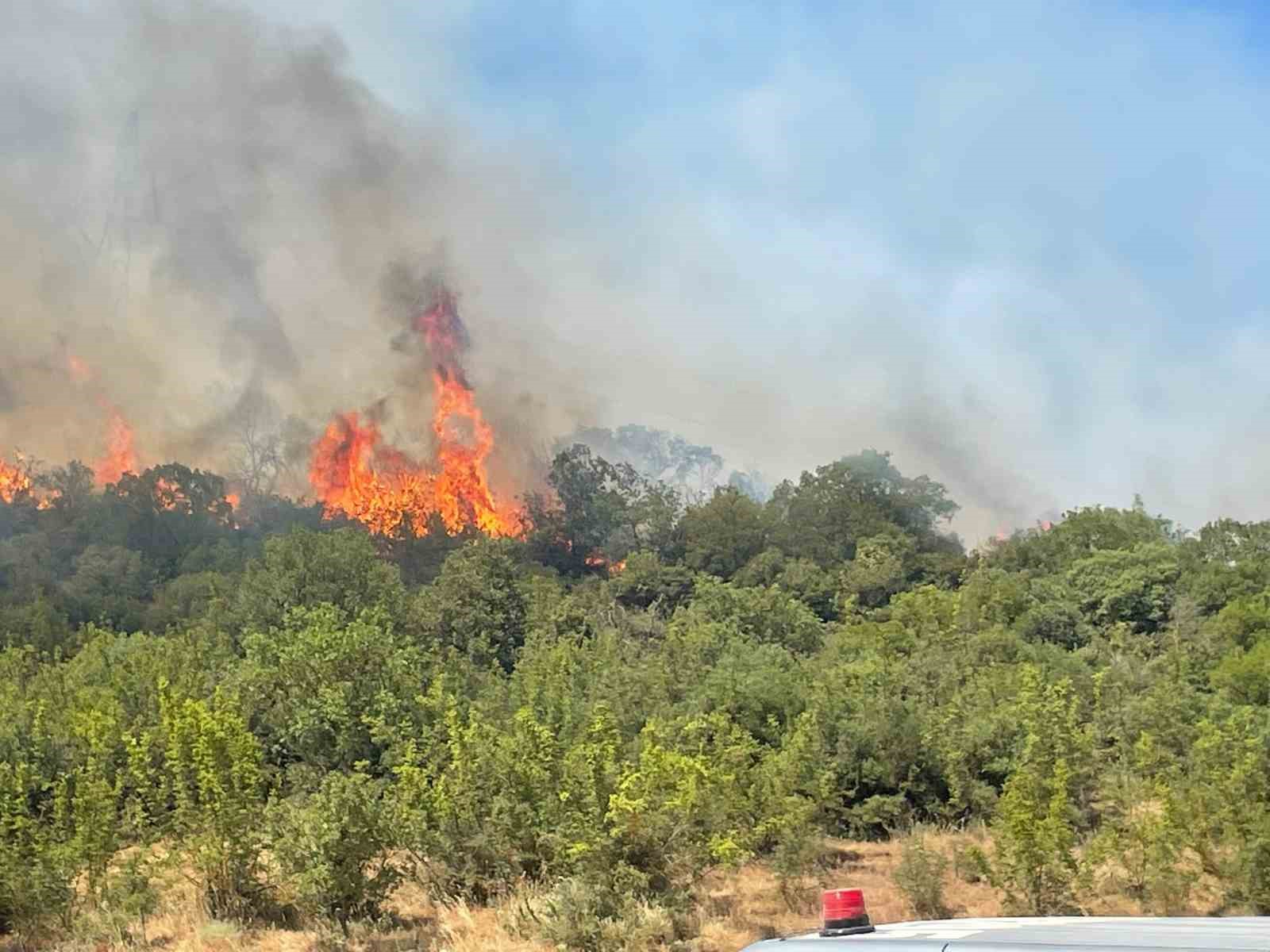 Bursa’da orman yangınlarının ardı arkası kesilmiyor