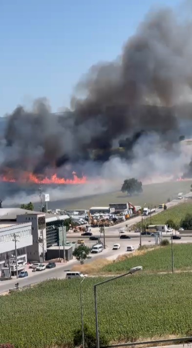 Bursa&rsquo;da orman yangınlarının ardı arkası kesilmiyor
