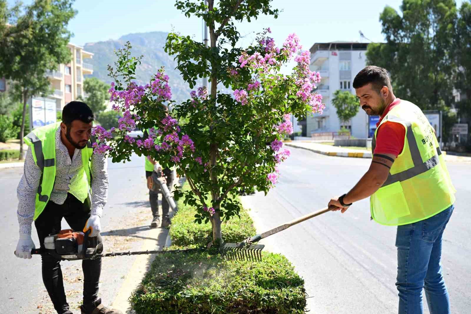 B&uuml;y&uuml;kşehir&rsquo;den S&ouml;ke&rsquo;de bakım ve temizlik &ccedil;alışması
