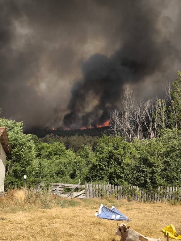 Sakarya&rsquo;daki orman yangınında son durum: 2 mahallede tahliye işlemleri başladı
